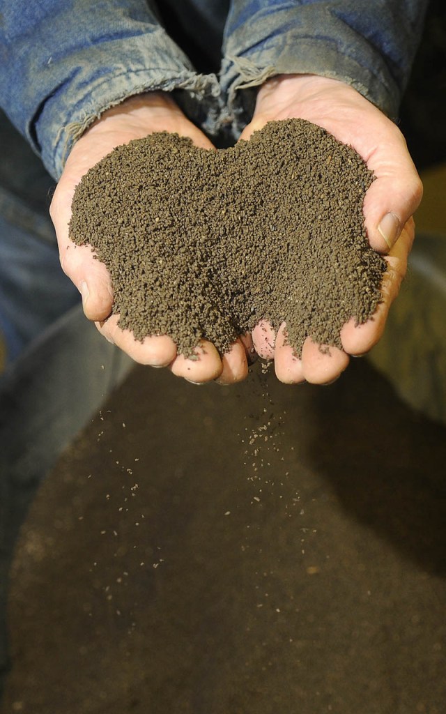 Earthworm castings collected by Richard Reed at R&L Berry Farm in Readfield.