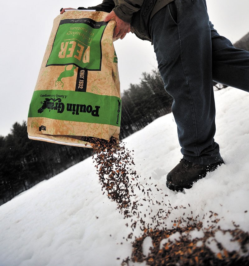 Gordon Berry walks through the ball fields dispersing a bag of deer feed for a herd of hungry deer in West Forks Tuesday evening.