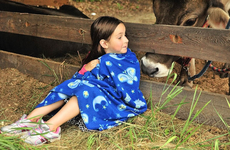 A steer in a neighboring stall gets a closer look at Delilah Tompkins, 5 of Winthrop, as she sits in the barn on Thursday morning at the Monmouth Fairgrounds on Academy Road in Monmouth. The fair runs through Saturday.