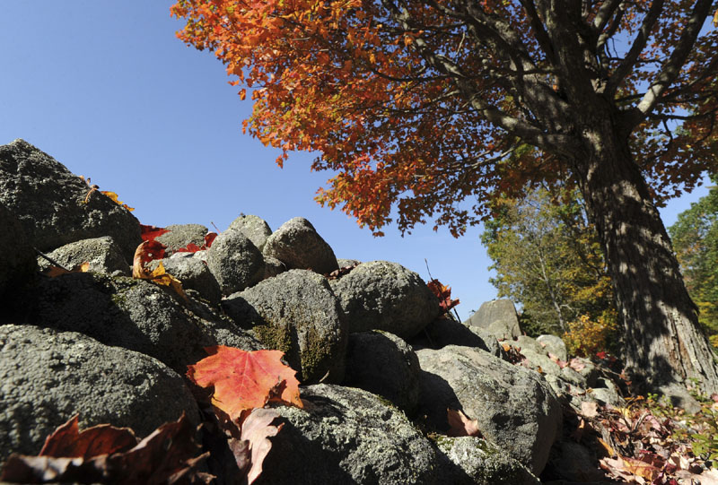 Foliage is shown along King Hill Road in Bridgton. Weather and other factors are adding up to a lackluster foliage season this fall all across New England.