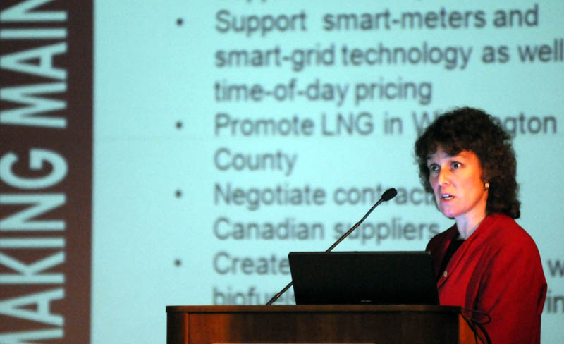 MAINE WORK: Economist Laurie Lachance president of the Maine Development Foundation, addresses a crowd Sunday at the University of Maine at Augusta on making Maine work.