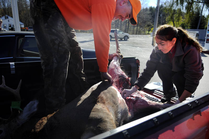 TAGGING SCIENCE: State of Maine epidemiologist Amy Robbins collects a blood sample Saturday from an eight-point buck that Mark Yeaton helped his son, Todd, tag at Fuller’s Market in West Gardiner. The state Center for Disease Control and Prevention is gathering samples from deer killed by hunters across Maine to track Eastern equine encephalitis. According to State Epidemiologist Dr. Stephen Sears, the agency has been collecting data from a variety of mosquitos and animals for five years but has been concentrating on deer and moose for the last three years to track the disease.