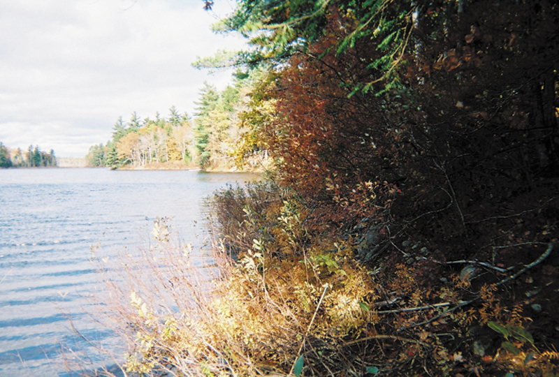 Public access to Hales Pond in Fayette, as seen from the Manter property on the eastern shore, is the goal of a fundraising effort now under way.