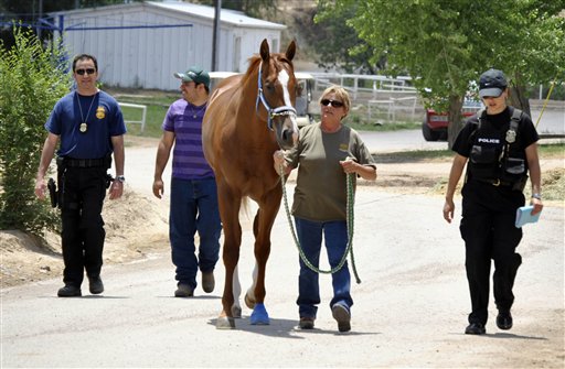 Unidentified law enforcement personnel take a horse away from the stable area at Ruidoso Downs Racetrack and Casino in Ruidoso, N.M., on Tuesday.