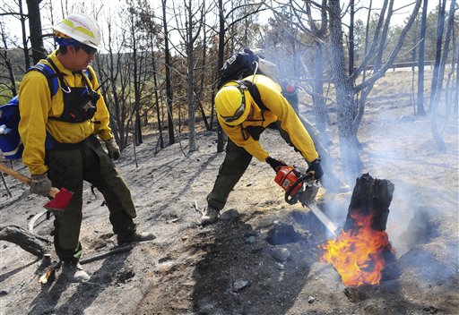 Arizona's Hopi 5 Hotshot Ian Nuvamsa, at left, watches as teammate Peterson Hubbard cuts a burning stump while battling the Little Bear fire near Ruidoso, N.M.