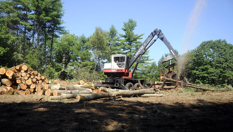 Logger Dave Brown cuts a tree Monday at the Georgia Fuller Wiesendanger Wildlife Protection Area in Winthrop. Two Trees Forestry is overseeing a sustainable tree harvest on the land managed by the Small Woodlot Owners of Maine. "We retain the best trees to get bigger and better," forester Harold Burnett said of the timber stand improvement.