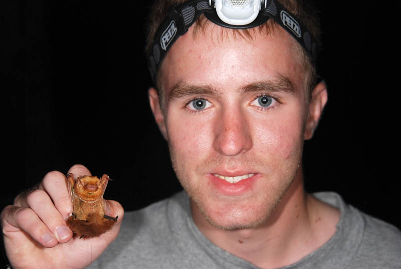 Lawrence High School graduate Zackary Hann spent his summer studying the Eastern red bat in Virginia.