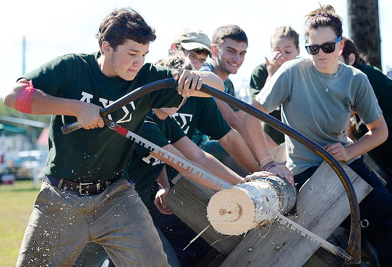 Travis Gomez-Phillips of Kennebunkport makes sawdust fly while showing how to use a bow saw during an exhibition by the Colby College Woodsmen’s Team at the Cumberland County Fair on Sunday, opening day of the annual event.