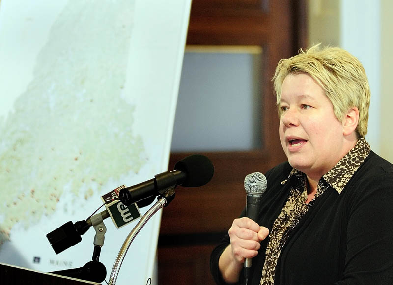 Hallowell Mayor Charlotte Warren speaks during a Maine People's Alliance event on Tuesday in the State House's Hall of Flags in Augusta.