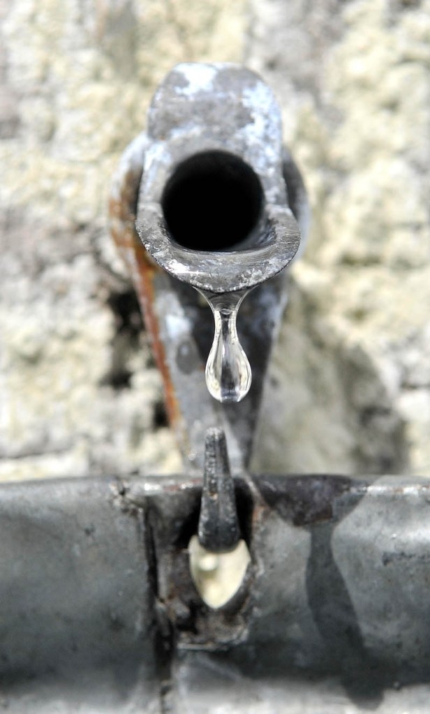 Sap pours out of a tap on a maple tree in Oakland Saturday.