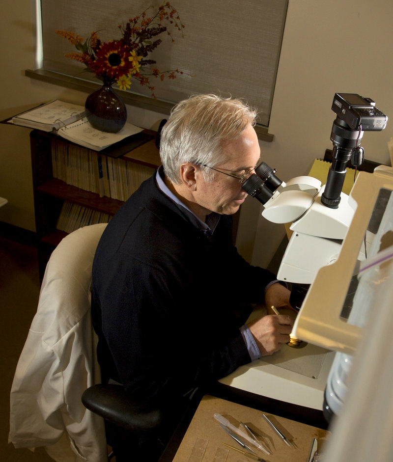 Jeff Runge, professor of oceanography in the School of Marine Sciences at the University of Maine and a researcher at the Gulf of Maine Research Institute, examines plankton samples to test acidity in the ocean. “It’s starting to be recognized as a serious issue. But it’s very complex,” he said.