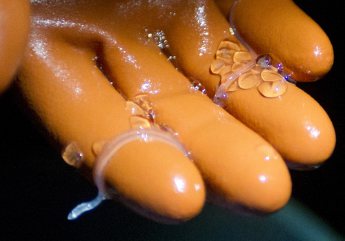 An elver fisherman holds a pair of the creatures in his gloved hand while fishing in a southern Maine river last April.