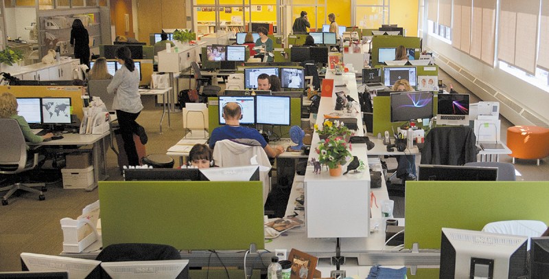 Employees of Idexx Laboratories in Westbrook work in the company's marketing department on Friday.