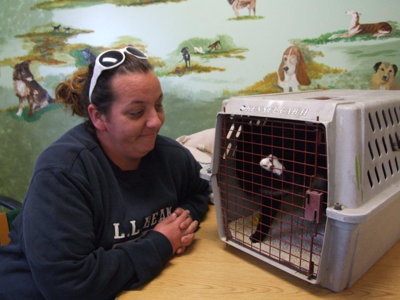 Laura Baumli of Freeport found the tote full of cats and kittens while walking her dog.