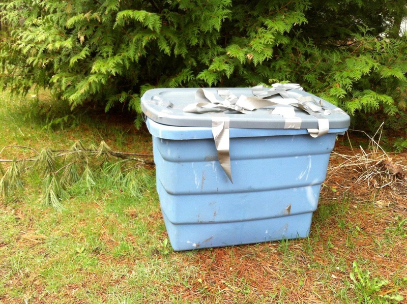 This tote found in Freeport held 13 abandoned cats.