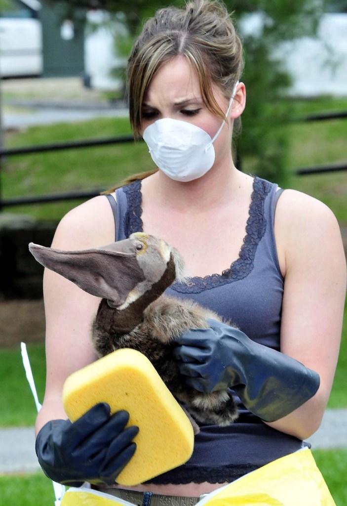 Colby College student Ruthie Hawley, a member of the Colby Alliance of Renewable Energy group, takes part in a simulated oil spill Thursday.