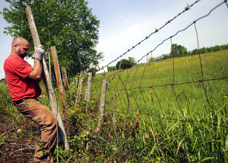 Bob Dill sets a fencepost Monday outside of a pasture at the E.C. Barry Farm in Farmingdale. Dill said he's upgrading all the pickets in the fields where beef cows graze for the summer.
