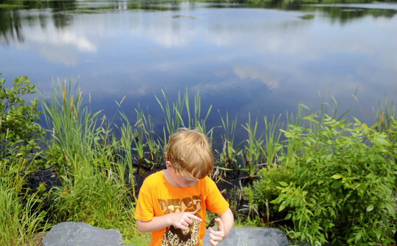 Tyler Hanna inspects a freshly hatched snapping turtle Sunday that he caught with his father, Clint, near their home on Belgrade Stream in Belgrade. Father and son employed a net to snag a couple of juvenile snappers to examine before releasing them.