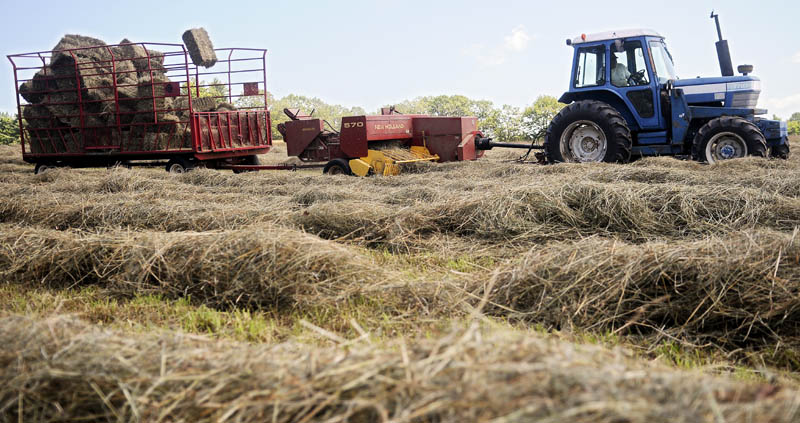 Andy Baker collects square bales of hay July 15 from a field in Monmouth during his first cut of the season. Baker said this time last year, he had put up 6,800 bales but this year, due to rain, he has only picked about 1,300 bales. "This is the worst year ever," Baker remarked.