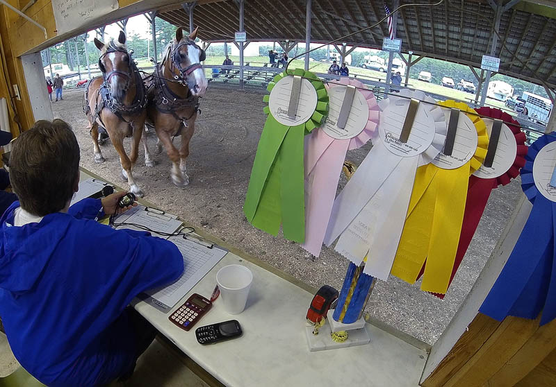 Hope RIcker times the farm horse team log scoot event on Friday in the pulling ring at the Pittston Fairgrounds. The fair runs through Sunday.