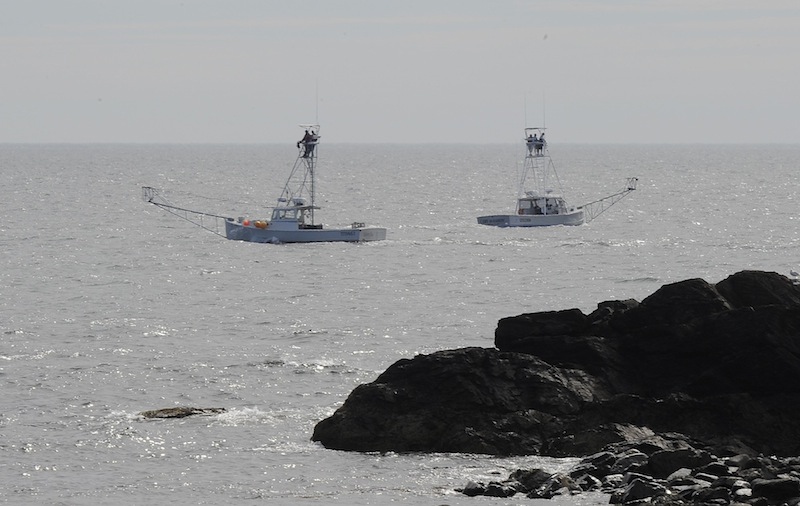 State and local law enforcement officials and local fishermen. seen above, search for Billy McIntire, 51, a boater who went missing Thursday night about one mile off Perkins Cove in Ogunquit. Search