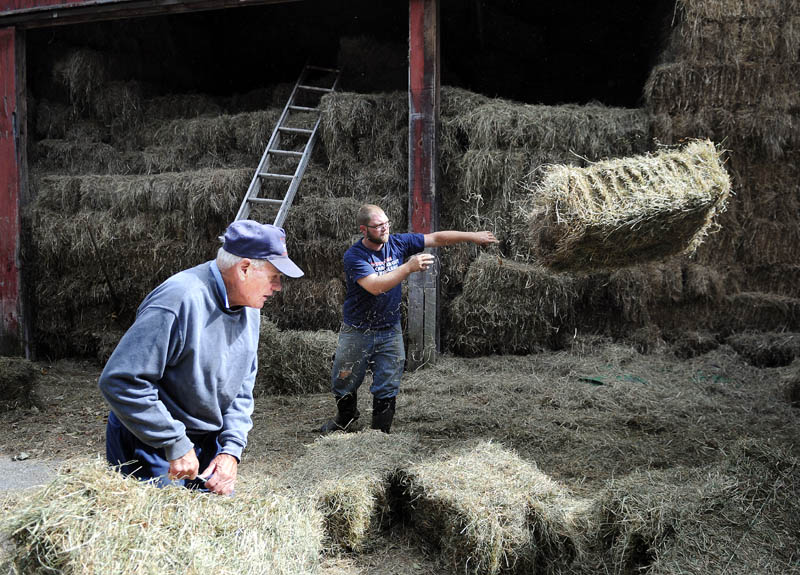 Sonny Black, left, and farmhand Randy Pierce toss hay bales Wednesday into a trailer at Black's Litchfield farm. First cut bales are selling briskly to other farms, Black said, with a second crop of hay expected to be cut this week.