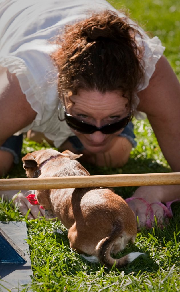 Dena Austin watches closely as her dog Jade successfully slips beneath the limbo bar during the Woofminster 2013 dog show.