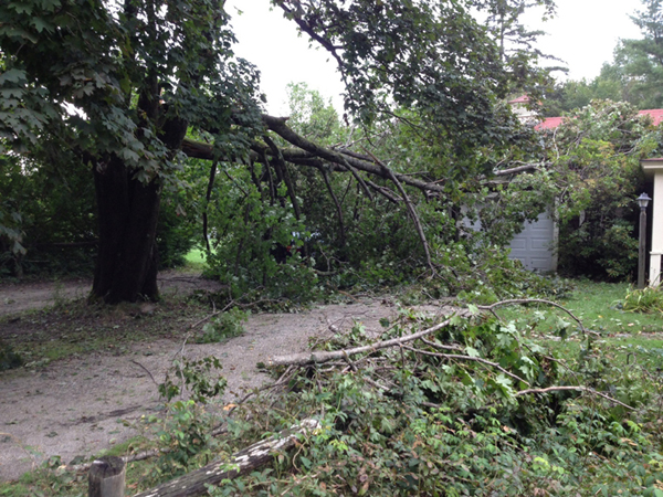 Thunderstorms blew through the area Wednesday night causing this tree to fall at 10 Narrows Pond Road in Winthrop.