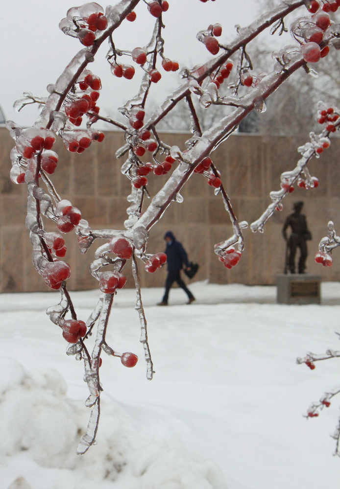 Photo by Jeff Pouland THICK ICE: A thick coating of ice clings to a tree outside the Maine State Library in Augusta during Monday's storm.