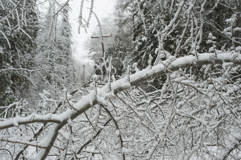Downed limbs on the Perkins Point Road off Brewer Lake in Orrington on Sunday.