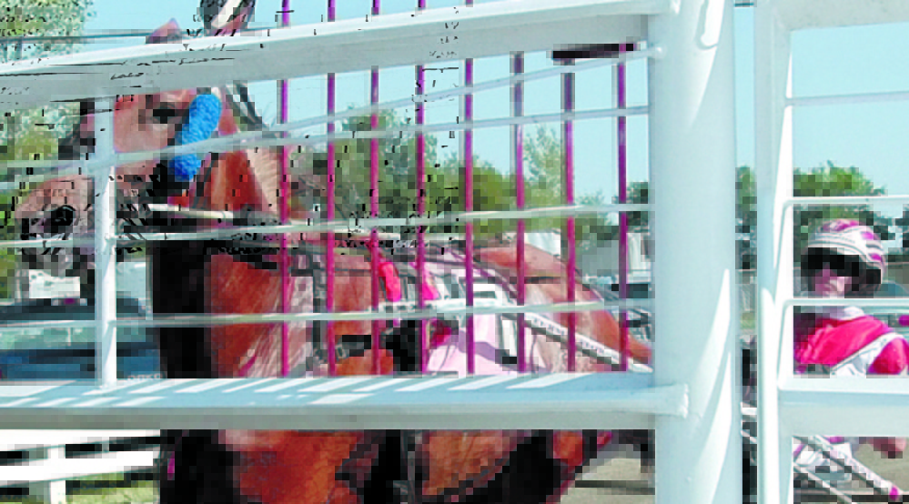 Original: Staff photo by Joe Phelan READY TO START: Jason Bartlett gets Township Brassy into position behind the starting gate before the first race on Friday afternoon at the Windsor Fair. Harness racing has a rolling start behind a gate vehicle. When they cross the starting line the gate opens and the car speeds ahead and out of the way of the race. Published: Staff photo by Joe Phelan READY TO START: Jason Bartlett got his start racing at the Windsor Fair and has moved on to become one of the top drivers in the country. He is well on his way to a third track title at Yonkers Raceway in Yonkers, N.Y.