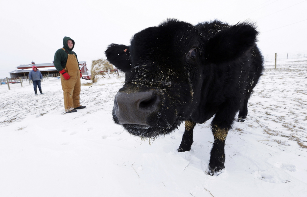 The compromise was expected to cut food stamps by about $800 million a year, and keep generous subsidies for farmers.