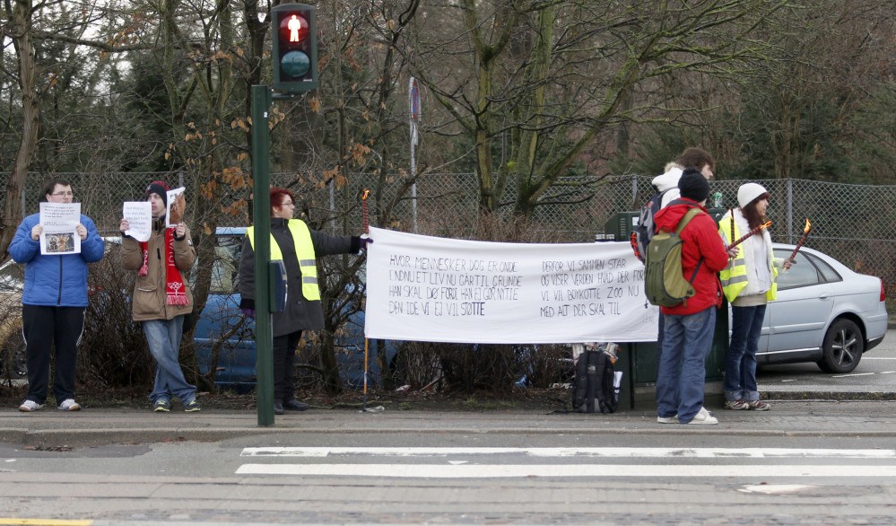 People protest outside Copenhagen Zoo where Marius, a young male giraffe, was slaughtered and fed to lions on Sunday. The zoo turned down offers to save the animal.