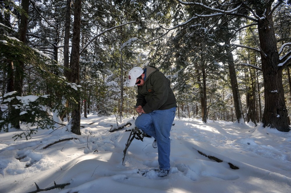 TARDIGRADES: Ben Sawtelle, 19, a freshman at Unity College, logs a sample of lichen and moss he gathered on Thursday from a dead tree in the Unity College forest. Sawtelle, a marine biology major, is researching tardigrades, also known as “water bears” because of their ability to survive underwater. They are one of the smallest animals known to humans.