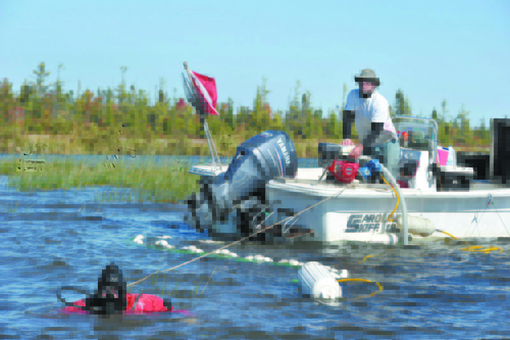 DIVING FOR MILFOIL: Divers are part of the Maine Lakes Resource Center in Belgrade milfoil removal effort, seen here on Long Pond in Belgrade. Groups that get rid of the invasive plant are asking towns for more money this year.
