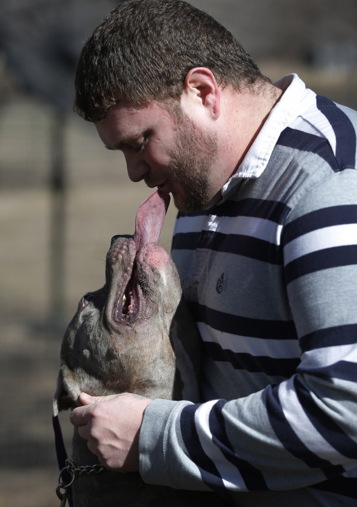 Cameron Younglove plays with a pit bull terrier named Rizzo. Younlove’s kennels raise their dogs indoors in a family environment and socialize them with other animals to ensure good temperament.