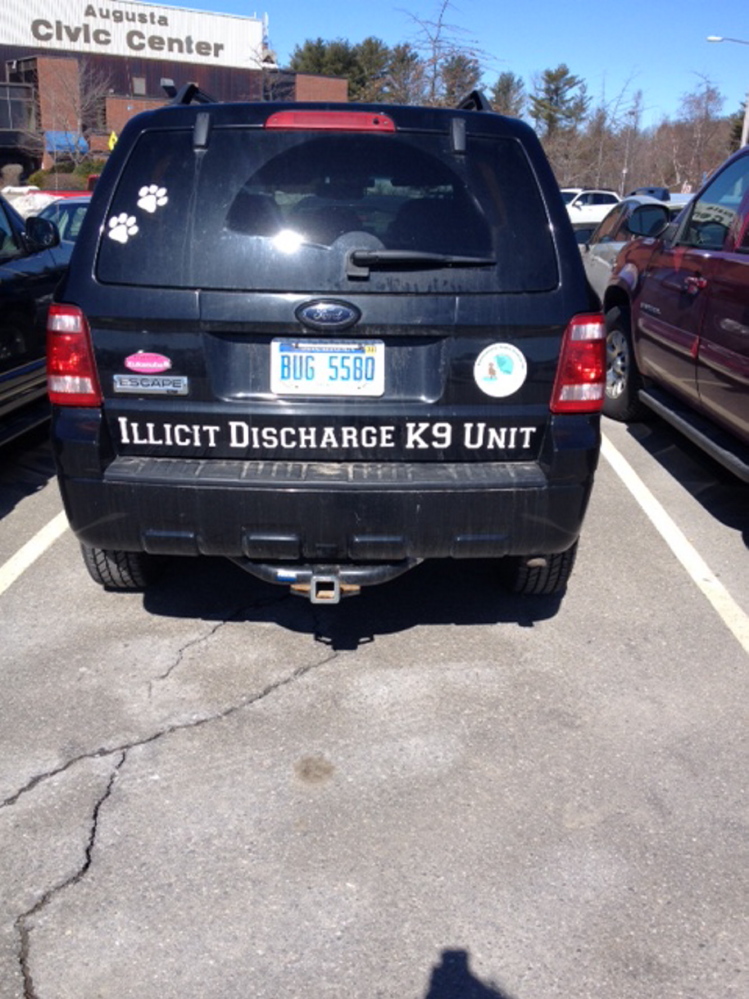 DOG DETECTIVES: Environmental Canine Services trains dogs to sniff out human sewage in water where it doesn’t belong.