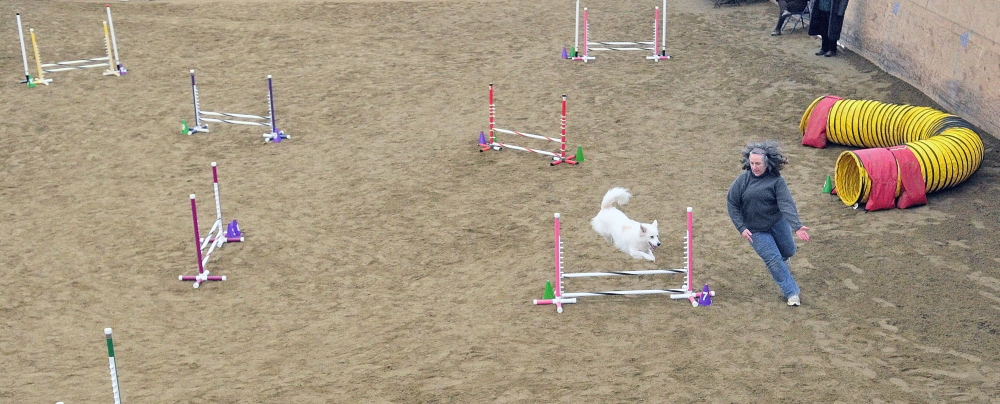 A maze of obstacles: June Rosenthal, of Damarascottia, leads her dog Missy through the course at a dog agility contest Saturday in West Gardiner. Owners had to run their dogs through tunnels and over hurdles on the course was quickly as possible.