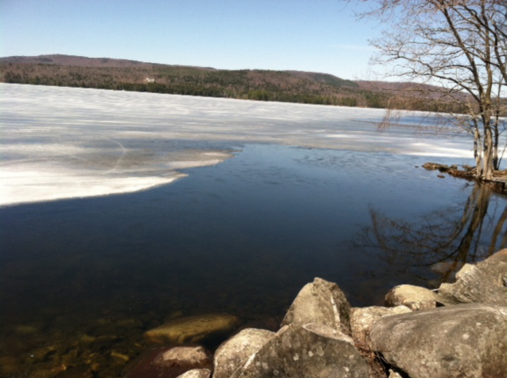 ICE ALMOST OUT: A loon cruises on some of the open space on Long Pond in Belgrade Lakes last week, when ice still covered much of the lake. By Friday, the ice was out and area residents considered hearing the loons singing to be a sure sign of spring.