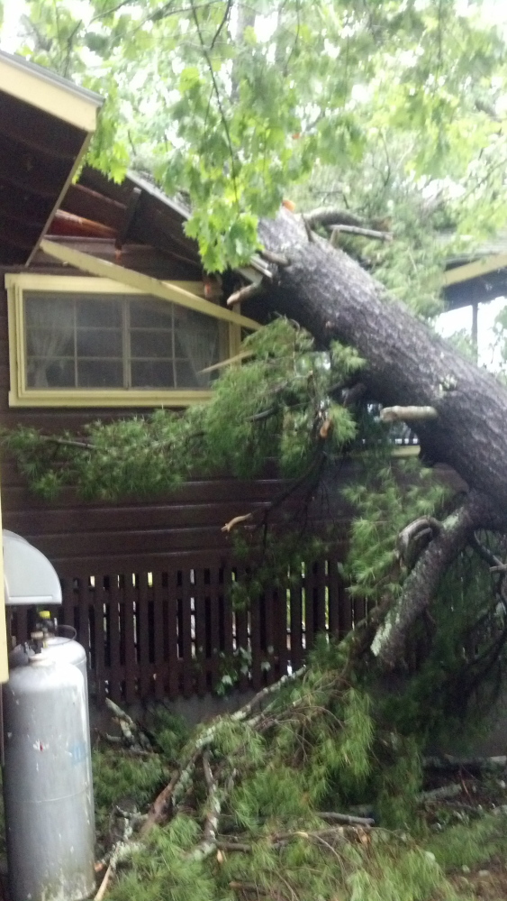 A storm on Wednesday toppled trees onto camps on the Belgrade Lakes area.