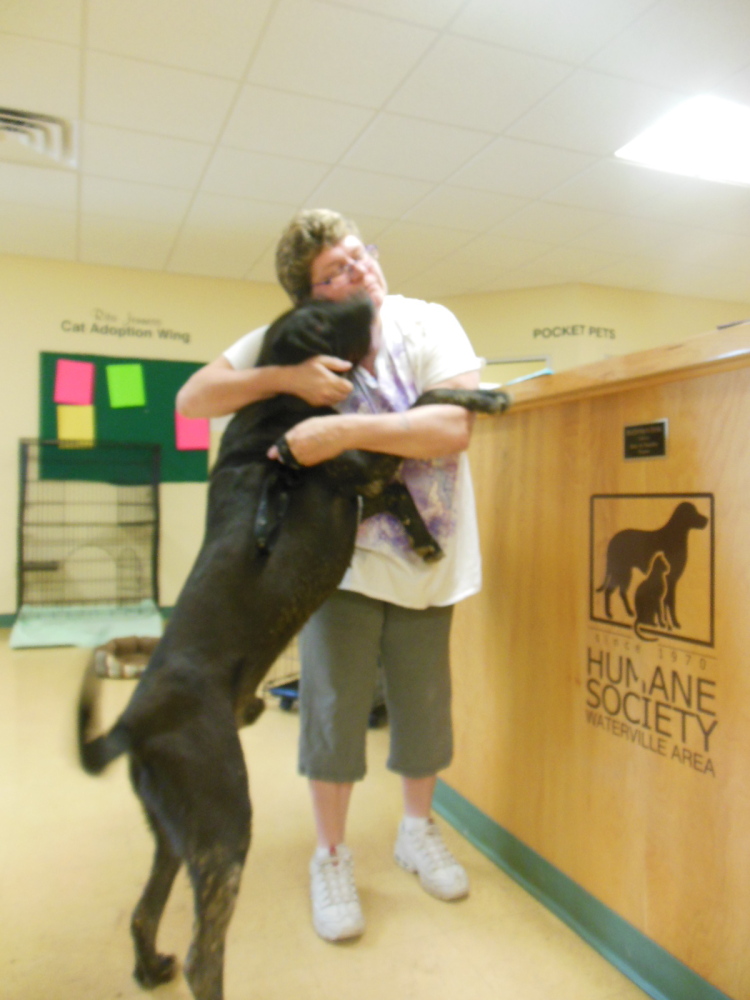 Magnum and his new owner, Cyndi French.