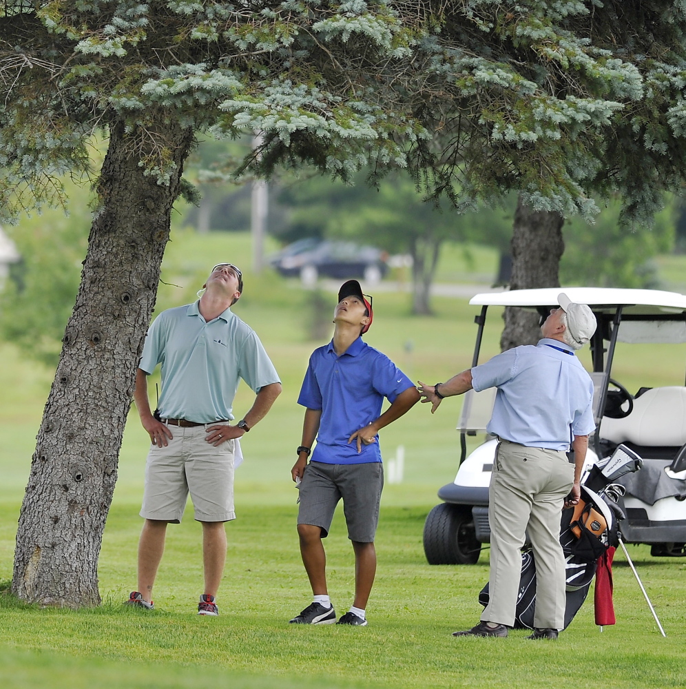 Somewhere up there, somewhere among the leaves and branches, sits a golf ball. Macarthur Kim, center, hit the shot that put it up there Wednesday. Moe Gallant, right, a rules official, gave him five minutes and when the ball remained out of view, Kim had to hit again. So what happened? About 25 minutes later the ball fell, nearly plunking another rules official.