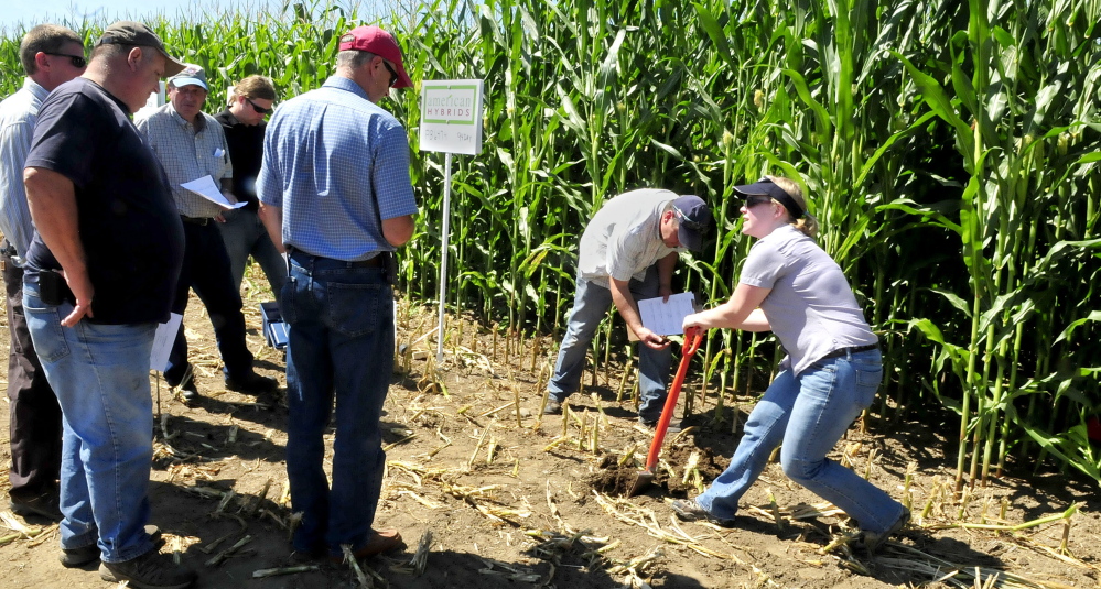 Anne Donahue, of the Natural Resources Conservation Service, digs soil beside a cornfield Wednesday to determine soil health factors in a demonstration during the two-day Maine Farm Days agricultural trade show, held at the Misty Meadows farm in Clinton.