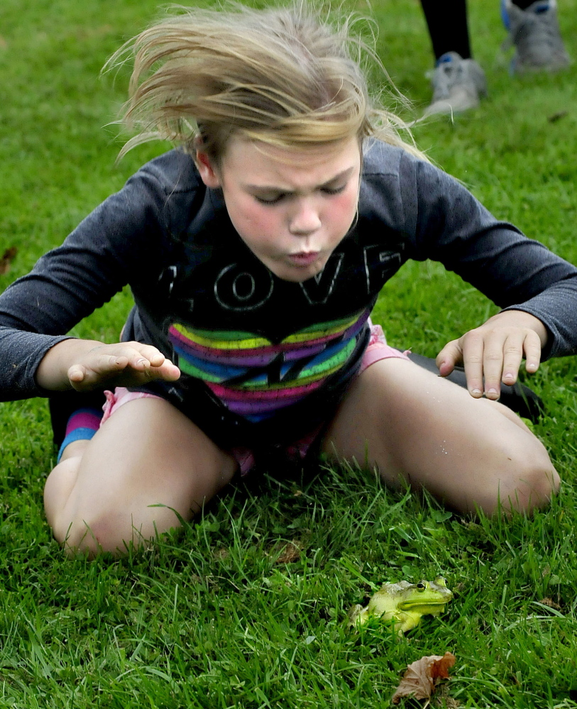 Brianna Michaud urges her bullfrog Kermit to jump by blowing and hitting the ground during a spirited frog jumping contest during the Oosoola Fun Day in Norridgewock on Monday. Briana and Kermit were the winners in the 9-11 age group.