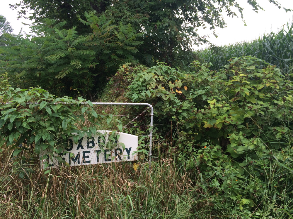 The entrance to Oxbow Cemetery on Sandy River Road, seen Tuesday, is overgrown with weeds and grass, a result of public works crews’ inability to reach it with proper equipment. It is against state law for a municipality to not maintain its cemeteries.