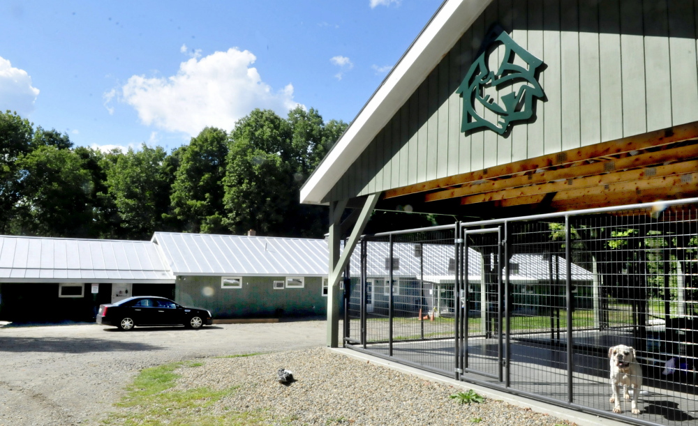 A lone dog looks out from a pen beside the main building of the Franklin County Animal Shelter in Farmington that has been closed because of an outbreak of canine parvovirus.