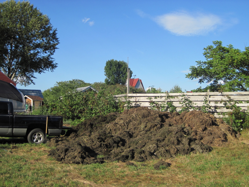 A compost pile of milfoil is seen in Belgrade. The Belgrade Regional Conservation Alliance has been composting thousands of gallons of milfoil for two years in an effort to dispose of the plants in a controlled environment. The Department of Environmental Protection said the composters should have a permit and is considering working with Oakland to research whether composting milfoil is a safe method of disposal that protects bodies of water.