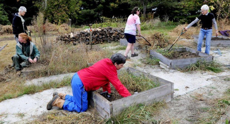 Volunteers, including Susan Wolford, front, weed some of the raised vegetable beds Saturday in the garden at Triplet Park in Unity during the Unity Barn Raisers’ annual Day of Service event.