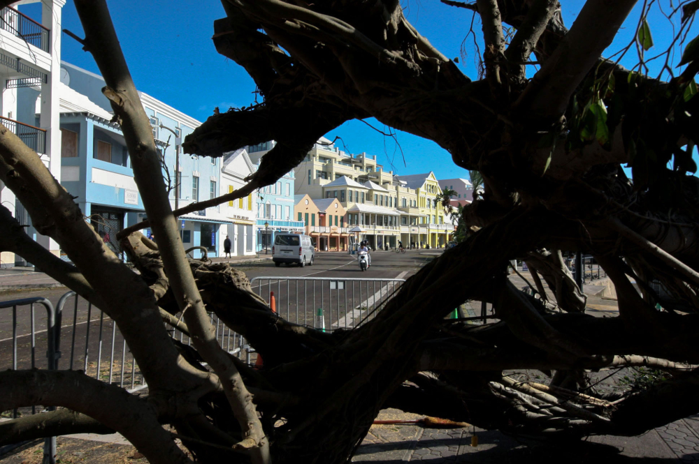 An uprooted tree lies across a sea front street after hurricane Gonzalo hit the island in Hamilton,  Bermuda, on Saturday. Hurricane Gonzalo crushed trees and flattened power lines during an hours-long battering.