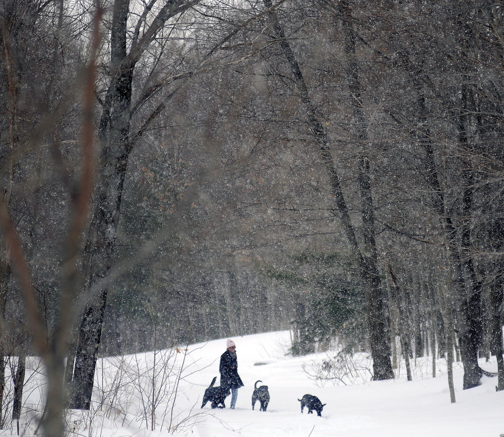 Gretchen Patrick, of Randolph, walks her trio of dogs Thursday down Steamboat Lane in Gardiner during a snow shower. A respite from snow is forecast to last until Saturday night, when another storm is predicted, according to the National Weather Service. Patrick said she likes to take her dogs for a walk every day, regardless of the weather.
